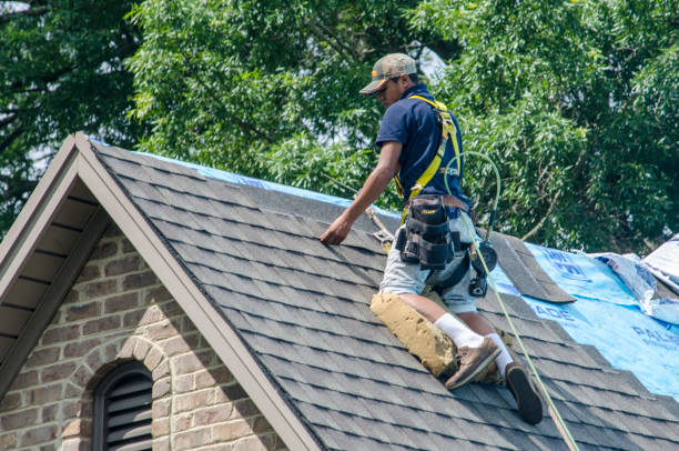 Best Roof Gutter Cleaning  in Whiskey Creek, FL